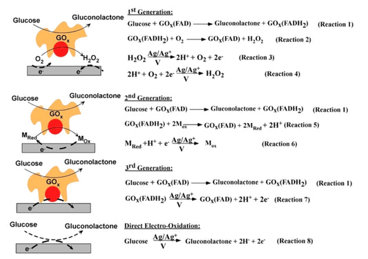 the evolution of glucose biosensors