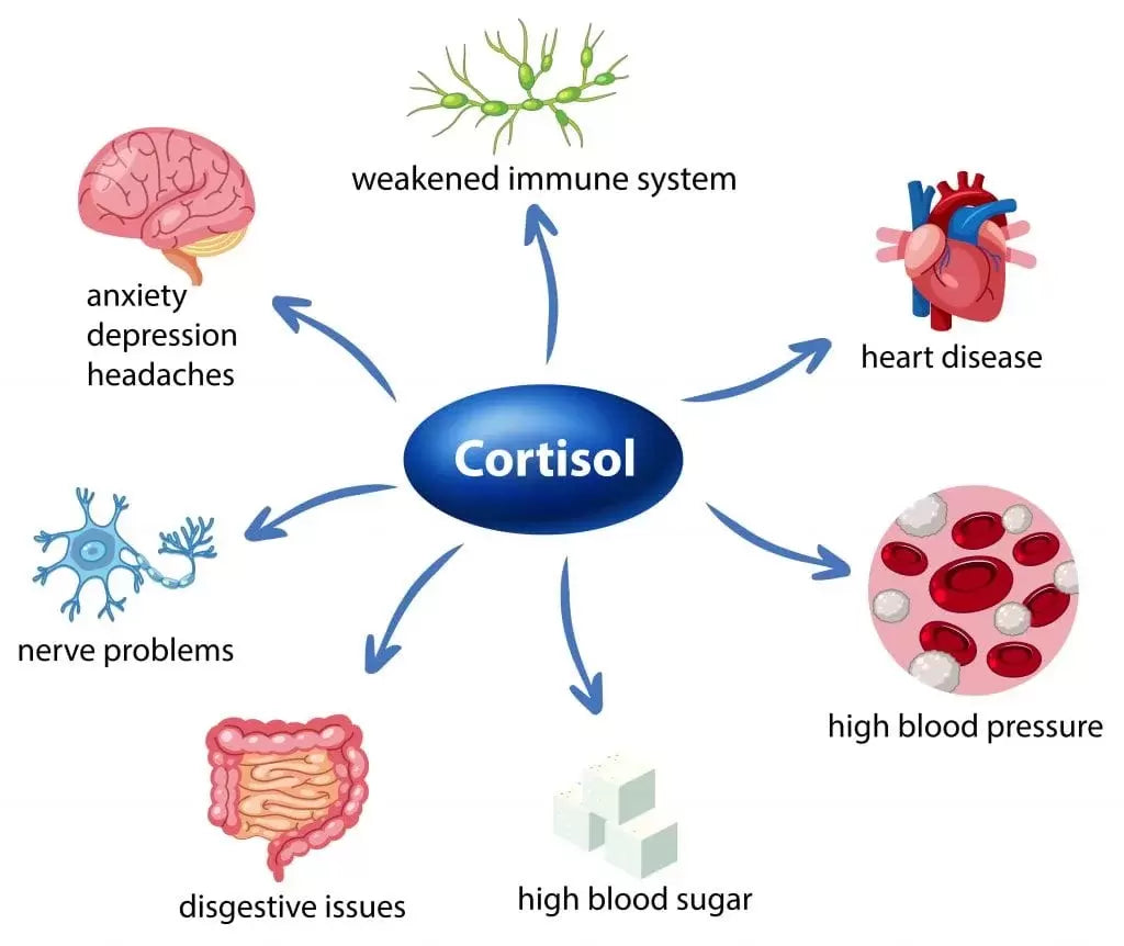 The Relationship Between Sleep, Stress, Cortisol, and Prediabetes: Can We Understand and Solve It?