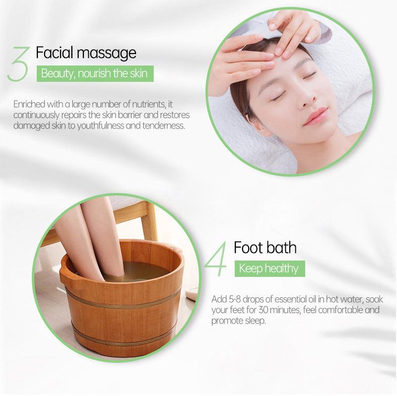 Body Massage Plant Essential Oil - CozyBuys
