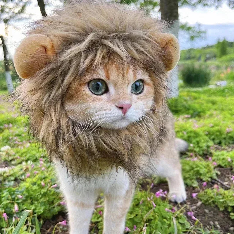 Pet Hat Lion Mane For Dogs Cats