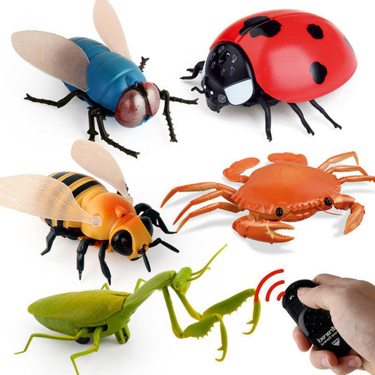 Remote Control Insects